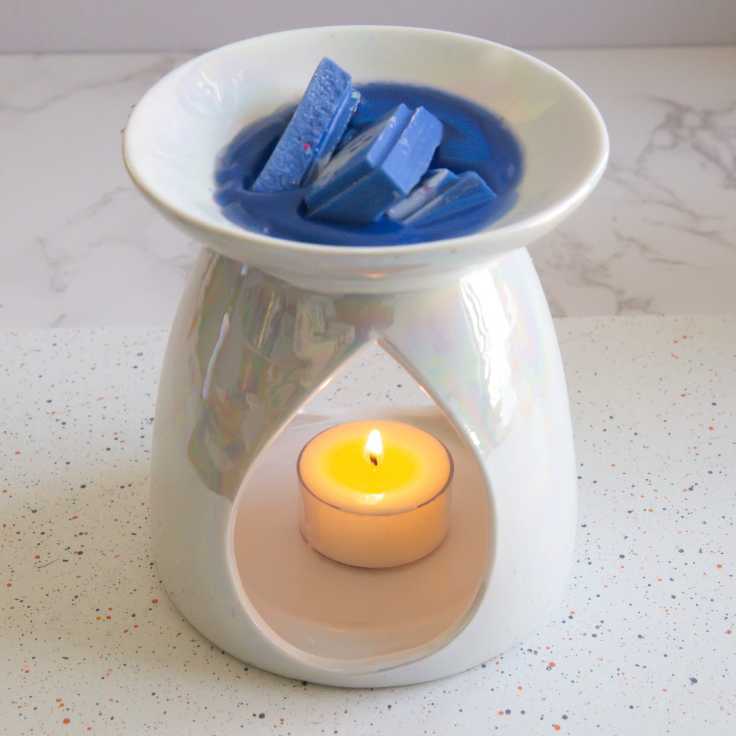 Lost in the Books Wax Melts | Library Scented Candle | Vintage Leather & Wood Soy Candle | Writers Gift | Aromatherapy Candle | Book Lover's